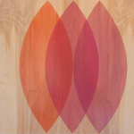 Petal, 2011, pigmented oil varnish on birch panel, 16 x 20 in